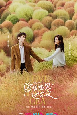 西宁市seo优化厂家